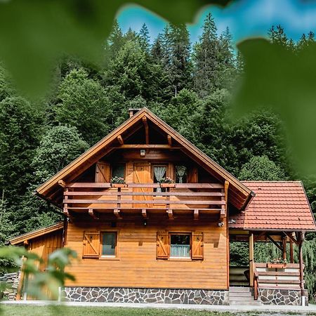 Central Chalet Varsag 外观 照片